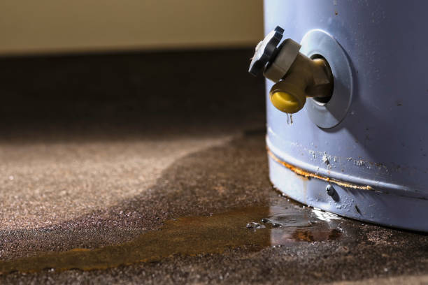 Best Professional water damage repair  in Dana Point, CA