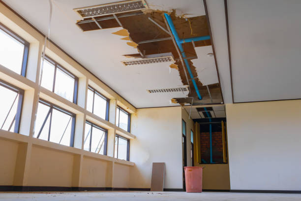 Best Flooded house restoration  in Dana Point, CA