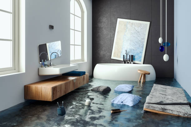 Best Water damage contractors near me  in Dana Point, CA
