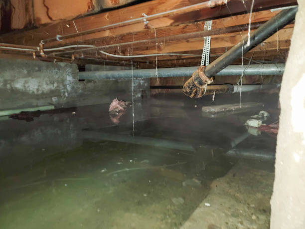 Best 24/7 water damage repair  in Dana Point, CA