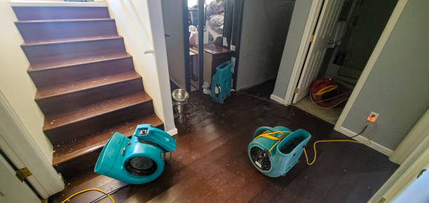 Best Water damage mitigation services  in Dana Point, CA