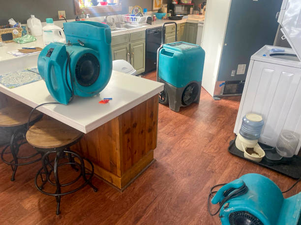 Best Flood damage cleanup  in Dana Point, CA