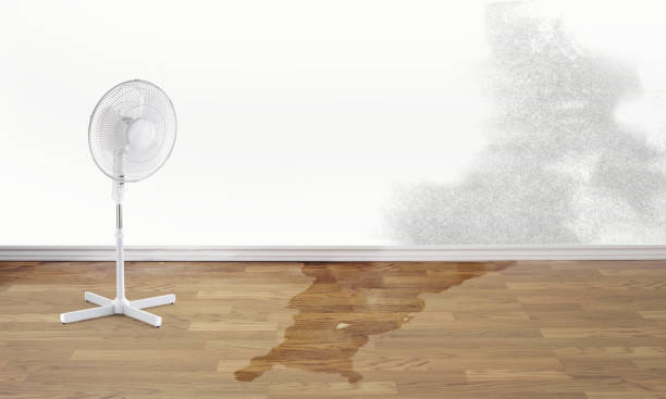 Best Sewage cleanup and water damage restoration  in Dana Point, CA
