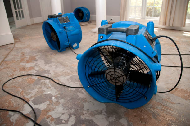 Best Ceiling water damage repair  in Dana Point, CA