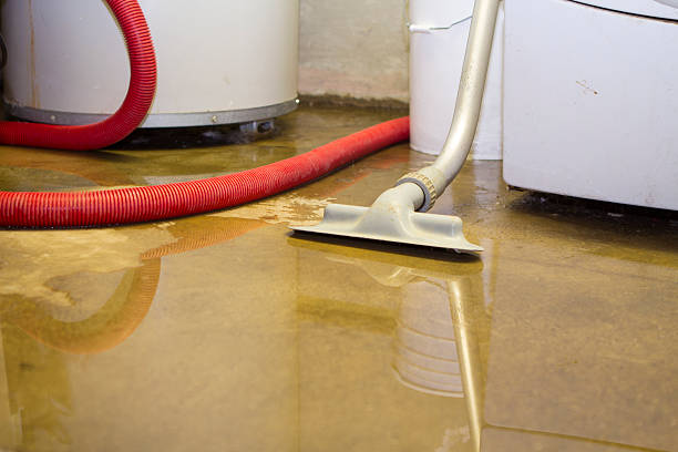 Best Flooded house restoration  in Dana Point, CA