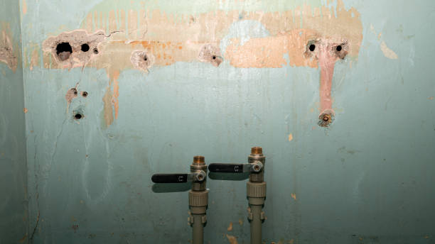 Best Local water damage restoration  in Dana Point, CA