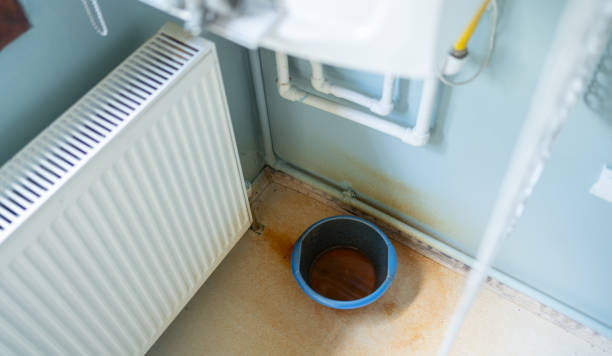 Best Mold removal after water damage  in Dana Point, CA