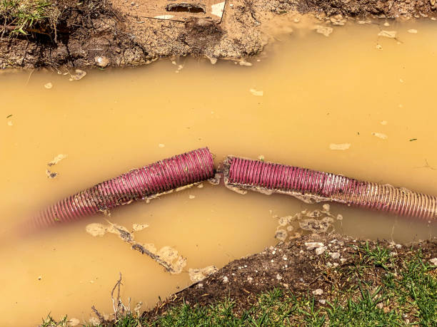 Best Sewage cleanup and water damage restoration  in Dana Point, CA